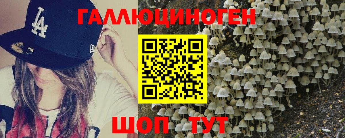 Псилоцибиновые грибы Psilocybe  Галлюциногенные грибы MAGIC MUSHROOMS  Вход с VPN  Тимашёвск 