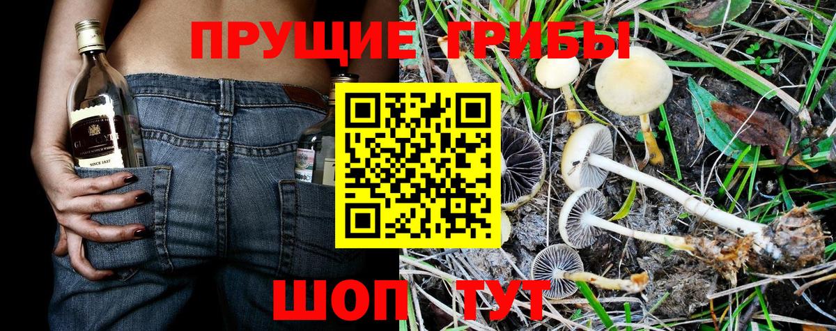 Тимашёвск  Вход с VPN  Меф   ГАШ 