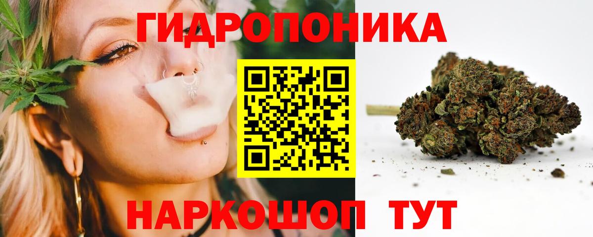 Бошки Шишки SATIVA & INDICA  Бошки Шишки сатива  Бошки марихуана LSD WEED  Вход с VPN  Тимашёвск 
